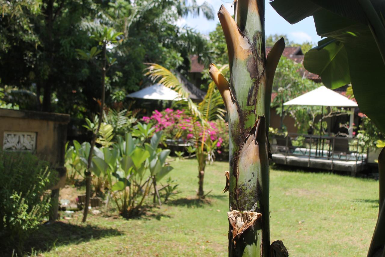 Puri Kutat Lestari Hotel Sanur  Exterior photo